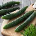 Suyo Long Cucumber Seeds - 100+ Heirloom Non-GMO Organic - Cucumis sativus - Rare Variety