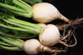 White Egg Turnip Seeds – Brassica rapa – Fresh Non-GMO Planting Seeds for Home Garden