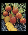 Golden Beet Seeds Bulk - Heirloom Beta vulgaris for Salad & Roasting, 30-400 Pack