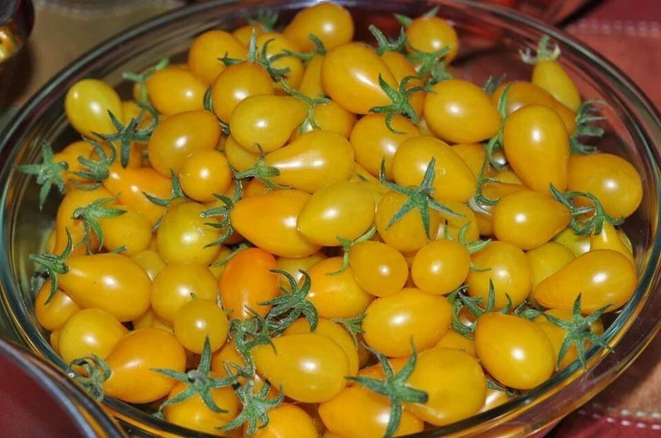 Yellow Pear Tomato Seeds - 60+ Heirloom Seeds - Non-GMO - Solanum lycopersicum