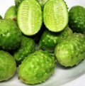 West Indian Gherkin Seeds - 50+ Heirloom Burr Spike Cucumber Organic Seeds for Garden, Pickling & Salad, Cucumis anguria