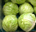 Cabbage Seeds 175 Count Danish Ballhead Brassica oleracea for Home Garden & Farming