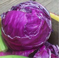 Red Acre Cabbage Seeds - Heirloom Non-GMO Brassica oleracea var. capitata for Home Gardens, Raised Beds, Containers