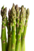 Asparagus Seeds UC-72 Variety – Non-GMO, Perennial, Home Garden, Asparagus officinalis Seed Packet