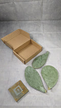 Spineless Prickly Pear Cactus Pads - 3 Pack, 5+ Inches Each, Opuntia Cactus, Arizona Grown