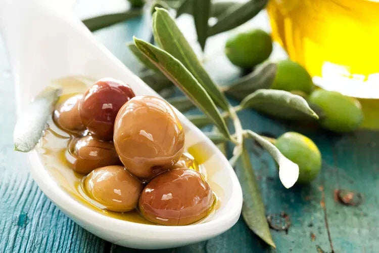 Arbequina Olive Seeds - 10+ Pack - Spanish Variety for Garden Planting - Olea europaea - USA Grown