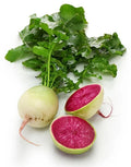 Watermelon Radish Seeds - Organic Heirloom Non-GMO Raphanus sativus for Home Garden, Salad, Pickling