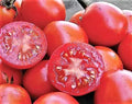 Siberian Tomato Seeds 120+ Heirloom Organic Non-GMO Fresh Seeds for Planting (Solanum lycopersicum)
