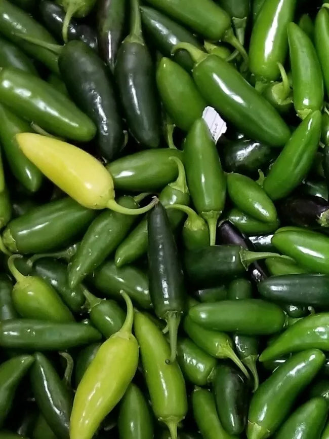 Jalapeno Pepper Seeds 50+ Non-GMO Heirloom Vegetable Capsicum annuum for Spicy Home Garden