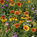 Wildflower Seed Mix - 19 Species Native Western Wildflowers for Garden, Meadow & Borders, Pollinator Attracting Seeds