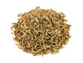 Cumin Herb Seeds 250+ | Cuminum cyminum | Culinary Spice for Gardening & Cooking