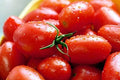 Crovarese Italian Grape Tomato Seeds – Heirloom Solanum lycopersicum, Sweet Small Tomatoes for Salad & Sauce, 50 Pack