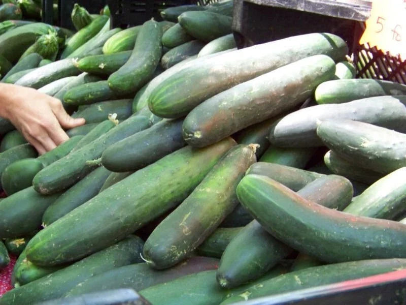 Heirloom Cucumber Seeds - 100+ Straight Eight - Organic Non-GMO - Cucumis sativus
