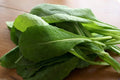 Komatsuna Mustard Seeds - 100+ Seeds - Brassica rapa var. perviridis - Non-GMO Japanese Greens for Gardening