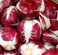 Radicchio Seeds 500+ Rouge de Verona, Cichorium intybus, Heirloom, Non-GMO, Vegetable Garden Seeds