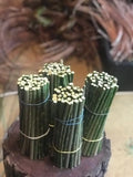 Black Willow Cuttings 12 Pack Unrooted Salix Nigra for Bonsai & Ornamental Trees