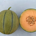 Melonade Cantaloupe Seeds - 10 Sweet Cucumis melo Seeds for Planting