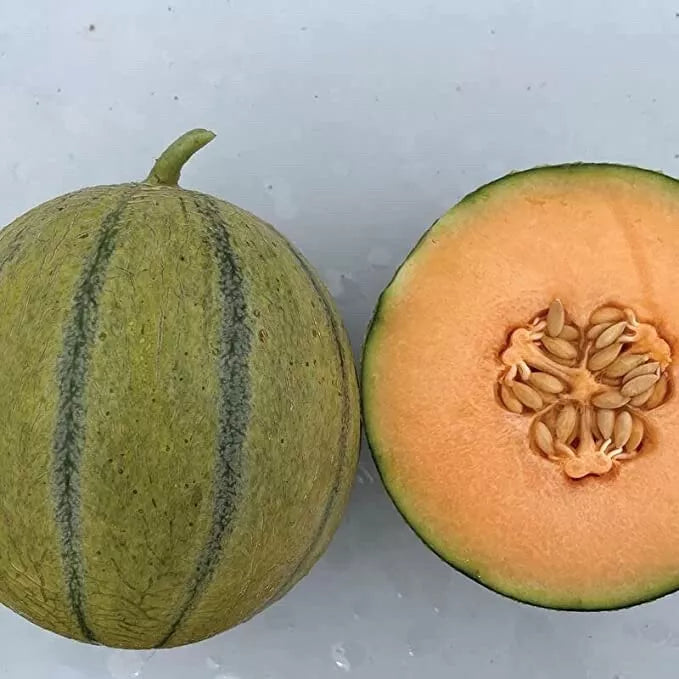 Melonade Cantaloupe Seeds - 10 Sweet Cucumis melo Seeds for Planting