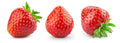 Everbearing Strawberry Seeds - 200+ Seeds - Fragaria × ananassa - Red Fruit