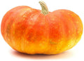 Cinderella Pumpkin Seeds 20 Pack - Heirloom Variety for Planting (Cucurbita pepo)