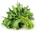 Water Spinach Seeds - 100 Count - Ong Choy (Ipomoea aquatica) for Home Gardening