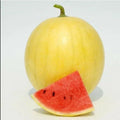 20PCS Gold Skin Watermelon Seeds - Yellow Royal Golden Variety - Citrullus lanatus