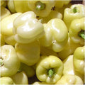 White Bell Sweet Pepper Seeds – 20+ Non-GMO Capsicum Annuum Vegetable for Home Gardening, USA Grown