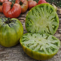 Cherokee Green Tomato Seeds - 30+ Heirloom Organic Non-GMO - Rare Variety for Home Garden - Solanum lycopersicum