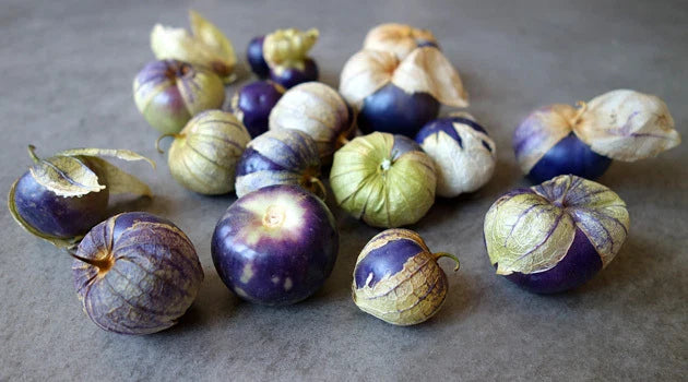 Purple Tomatillo Seeds - Heirloom Variety for Salsa - 20 Count Packet - Physalis ixocarpa