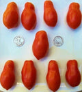 Martino's Roma Tomato Seeds - Heirloom Paste Tomato Variety - 25 Seeds - Solanum lycopersicum