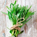 Tarragon Seeds 2000 Count Artemisia dracunculoides Culinary Herb for Cooking & Herb Gardens