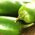 Jalapeno M Pepper Seeds | Non-GMO Heirloom Seeds | Capsicum annuum | Spicy Green Peppers for Garden or Container Planting