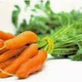 Carrot Seeds, 500+ Non-GMO Little Fingers Variety, Daucus carota