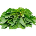 Green Amaranth Seeds - Edible Vegetable, Chinese Spinach Yin Cho, Amaranthus viridis, 500+ Seeds for Home Gardening