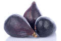 LSU Gold Fig Seeds - 100+ Count - Perfect for Garden Planting - Ficus carica