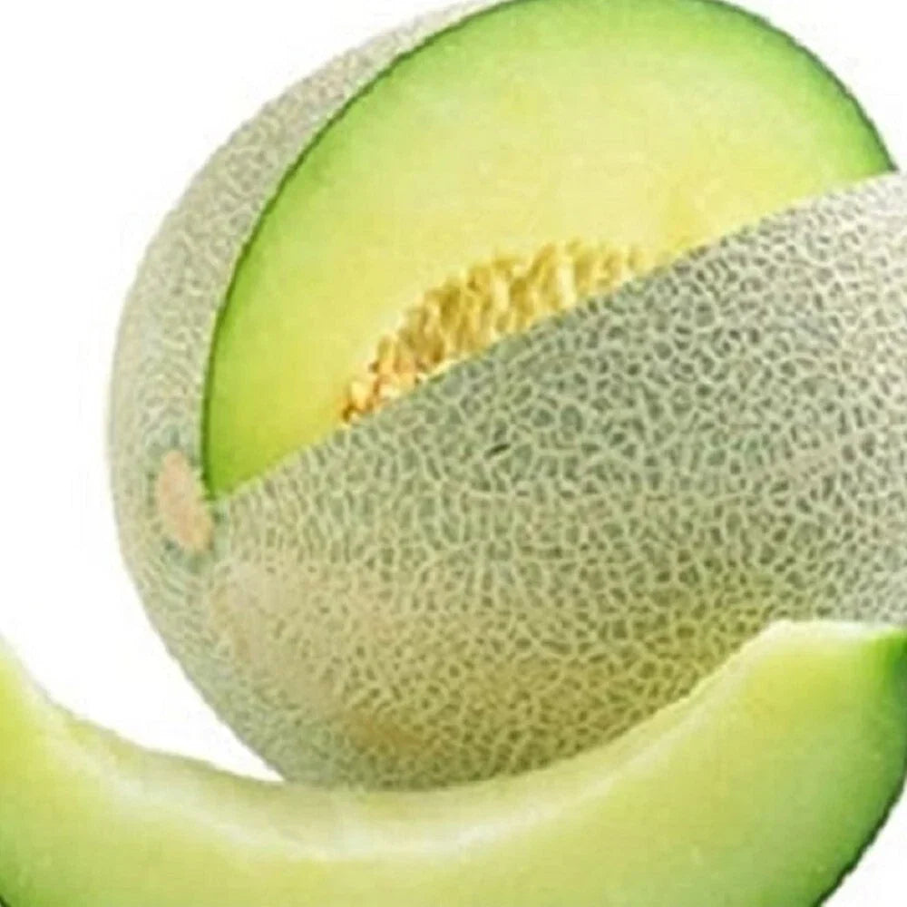 Honeydew Green Melon Seeds - Heirloom Cucumis melo var. inodorus, Non-GMO, Garden Seeds for Summer Harvest