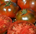 Paul Robeson Tomato Seeds - 100+ Indeterminate Heirloom Beefsteak Seeds