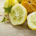 Lemon Cucumber Seeds - 40 Non-GMO Heirloom Cucumis sativus for Home Garden, Salad & Pickling
