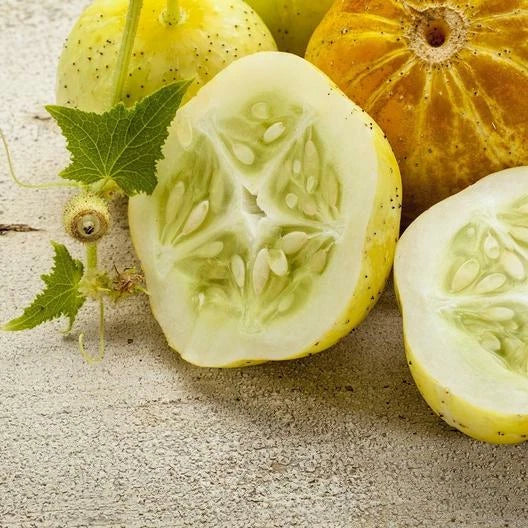 Lemon Cucumber Seeds - 40 Non-GMO Heirloom Cucumis sativus for Home Garden, Salad & Pickling