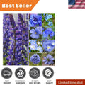 Mixed Wildflower Seeds - 30,000+ Butterfly & Bee Attracting Native Wildflower Blend for Gardens & Meadows