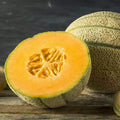 Honey Rock Melon Seeds, Non-GMO Cantaloupe, Sugar Rock Variety, Cucumis melo, for Home Garden, Full Sun, Vining Plant