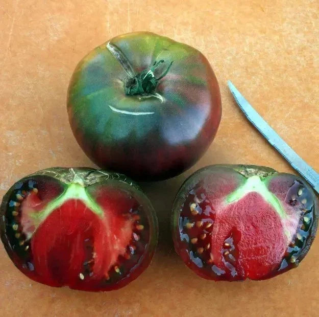 Black From Tula Tomato Seeds - Organic Heirloom Non-GMO, Rare Dark Tomato Seeds for Home Gardening, Solanum lycopersicum