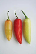 Santa Fe Grande Pepper Seeds - 100 Non-GMO Heirloom Hot Pepper Seeds for Garden Planting