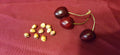 Cherry Fruit Tree Seeds 37 Count - Prunus avium - Organic Sweet Cherry Variety