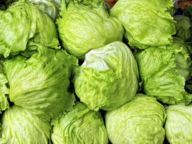 Iceberg Lettuce Seeds - Non-GMO Vegetable Seeds for Home Garden, Salad, and Container Growing - Lactuca sativa