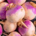 Rutabaga Seeds 300+ Non-GMO Brassica Napus for Home Gardening, Vegetable Seeds, Easy to Grow, USA Supplier