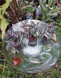 Tradescantia Zebrina Silver Plus Wandering Jew Plant in 2.5" Pot – Indoor Houseplant, Trailing Foliage, Pet Safe