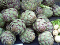 Green Globe Artichoke Seeds - Non-GMO Heirloom, 40 Pack, Cynara scolymus, Full Sun, Organic Gardening Seeds