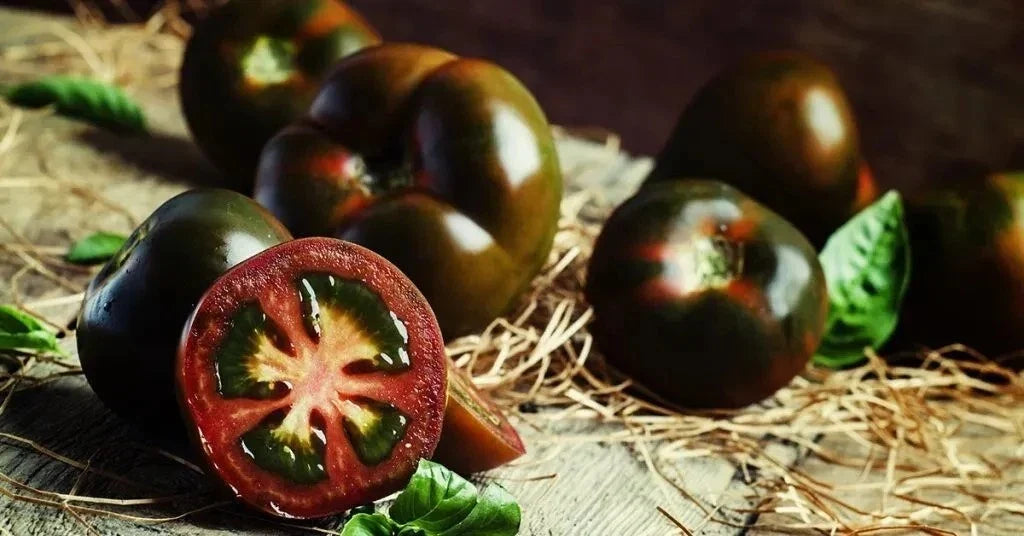 Black Truffle Tomato Seeds - Heirloom Organic Non-GMO, Rare Variety, Solanum lycopersicum, for Home Garden & Container Planting