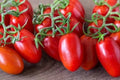 Roma Tomato Seeds - Organic Heirloom NON-GMO Pack of 30+ for Home Gardens & Containers - Solanum lycopersicum
